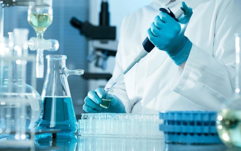 Research textile processors industries