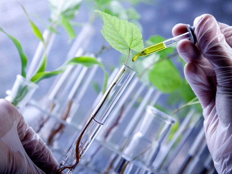 Diversification into Biotechnology